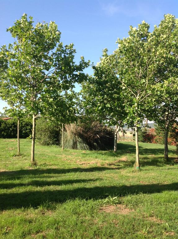 Гостевой дом Agriturismo La Fattoria Del Mortelliccio Карбонифера Экстерьер фото